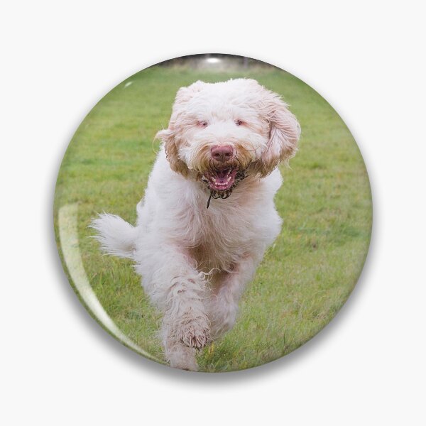 Item preview, Running Spinone designed and sold by FOLK ART FUSION by heidiannemorris.