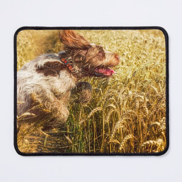 Item preview, Flying through fields Spinone designed and sold by FOLK ART FUSION by heidiannemorris.
