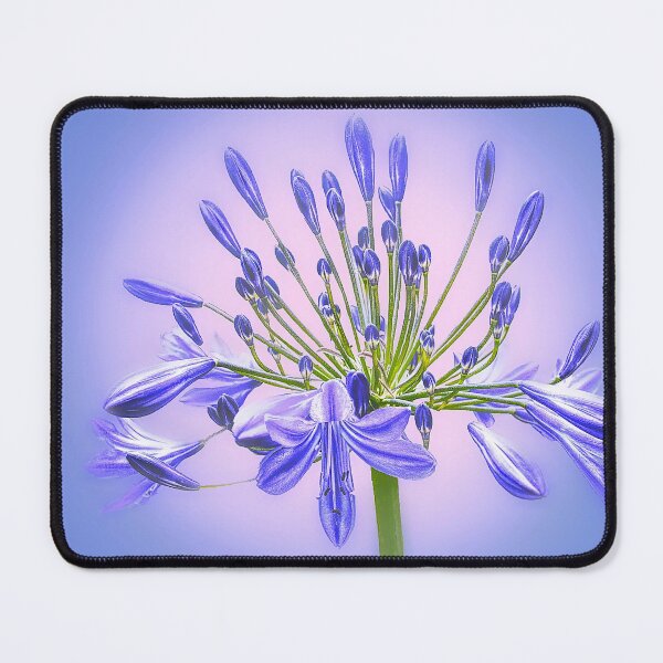 Item preview, Agapanthus Flower designed and sold by Alisonchambers2.