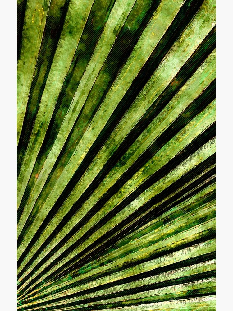Green Palm Tree Frond by perkinsdesigns