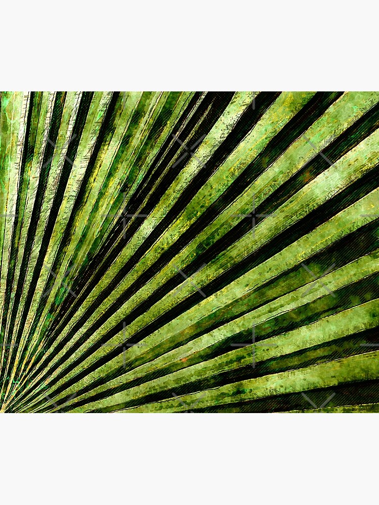 Green Palm Tree Frond by perkinsdesigns