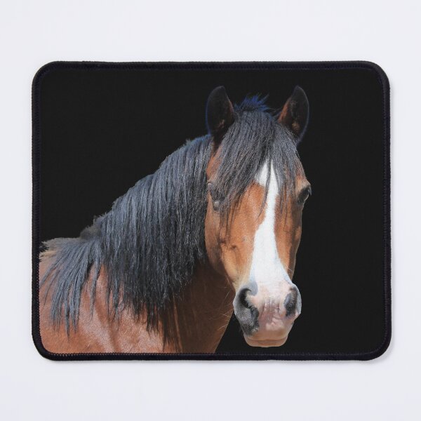 Item preview, Pretty Welsh Pony designed and sold by KarenWoodArt.