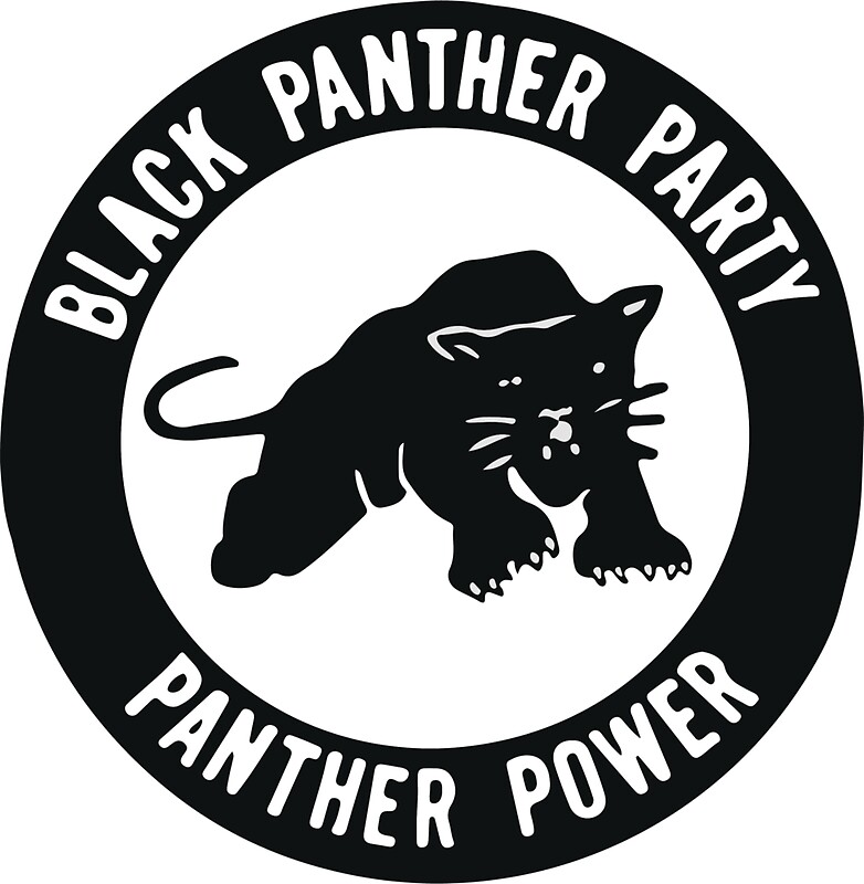 black panther party hoodie