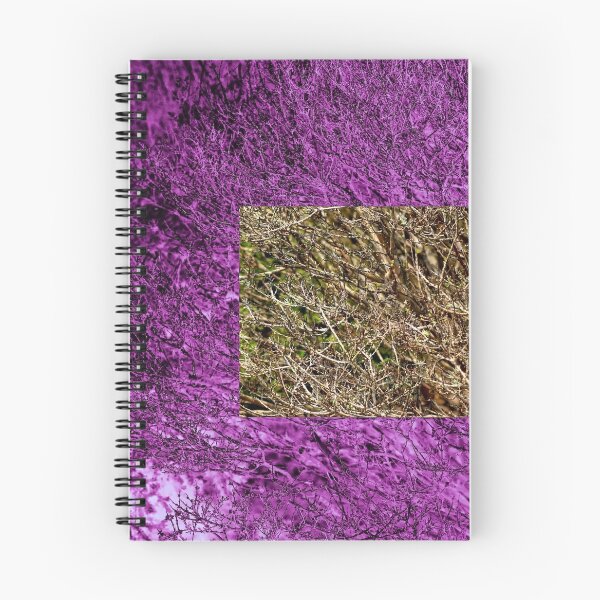 Item preview, Photo effect designed and sold by Jodie Cooper.
