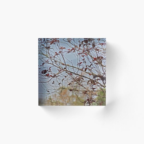Item preview, On A Drive designed and sold by Jodie Cooper.