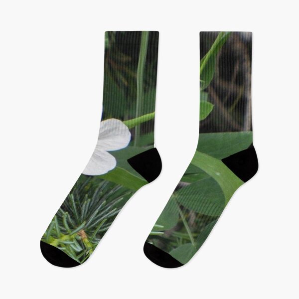 Item preview, Lone Wildflower designed and sold by MissJades.