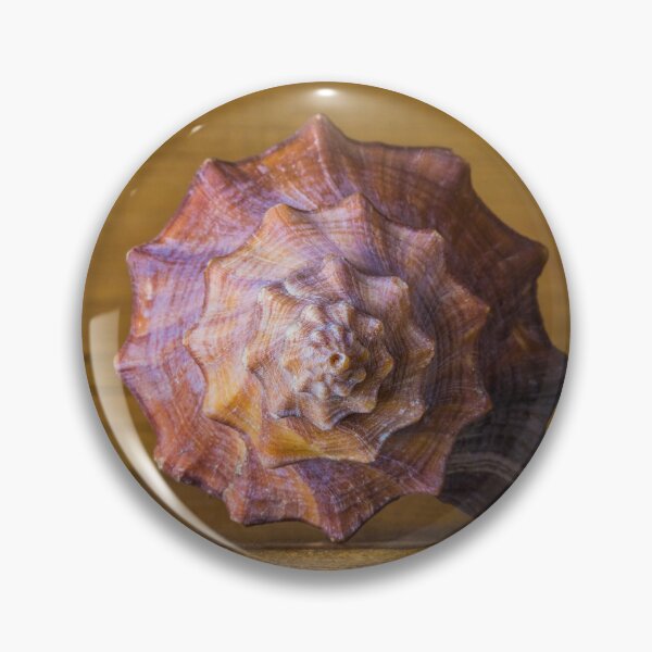Item preview, Natural Curves designed and sold by Dave Hare Photography.