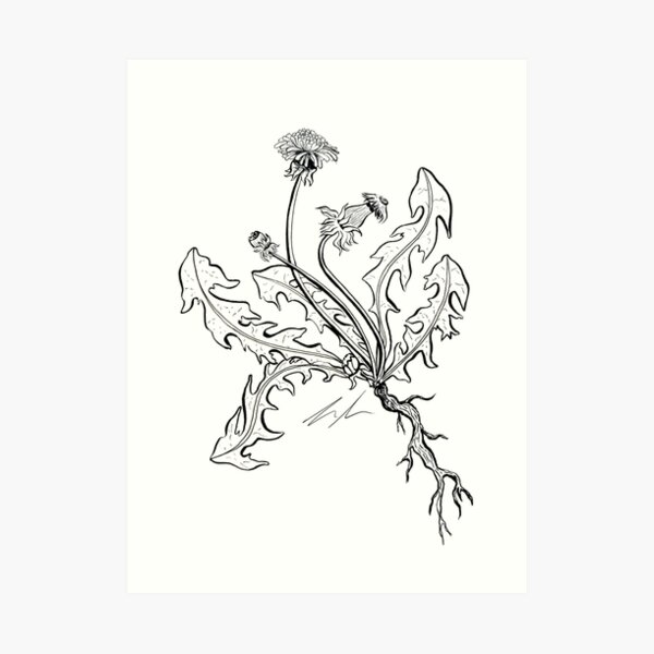 Blackberry Branch Art Print