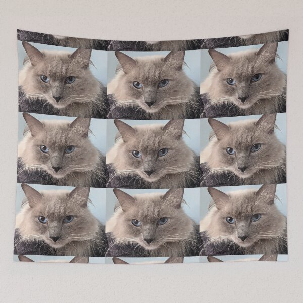 Item preview, Odin the ragdoll cat boss designed and sold by Fluffycat2020.