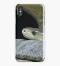 Black Mamba iPhone Case