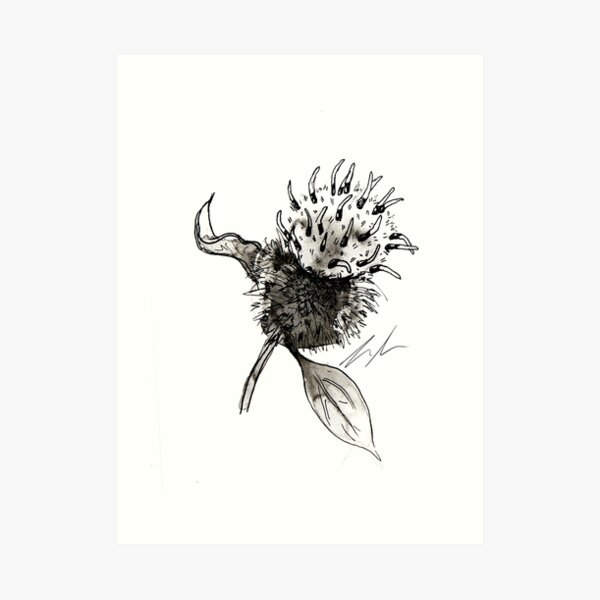 Burdock Art Print