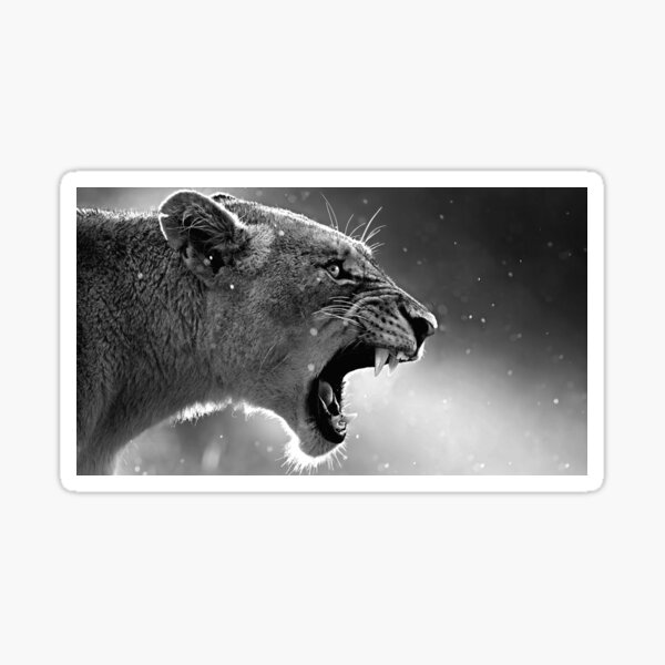 Aperçu de l'œuvre Le roi lion, Photographie noir et blanc créée et vendue par AfricanArtShop.