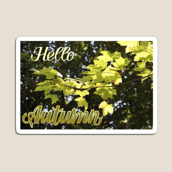 Item preview, Inspirational season greeting card “Hello Autumn” with lettering, maple tree twig with see-through yellow and green leaves in the bright sunlight and dark green foliage in the background. designed and sold by InnaEvans.