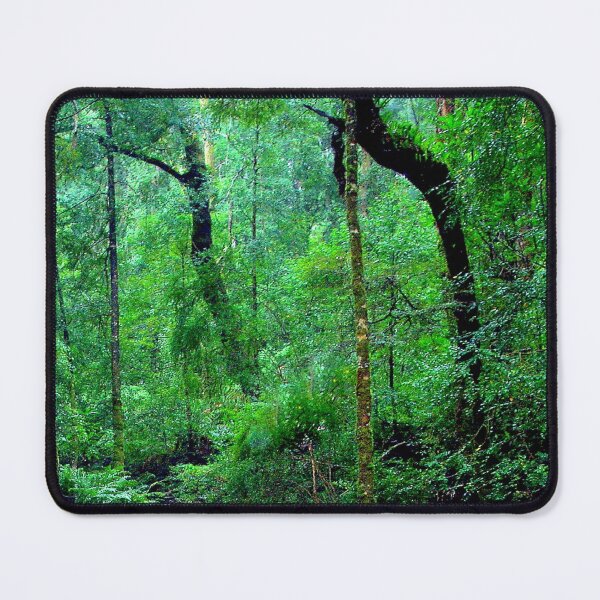 Aperçu de l'œuvre Forêt tropicale - Hogarth Falls Walk créée et vendue par imaginethis.