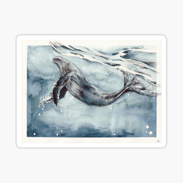 The Humpback Sticker