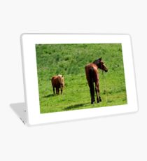 caballos Laptop Skin
