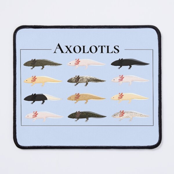 Item preview, All the axolotls -no labels designed and sold by Charloote.
