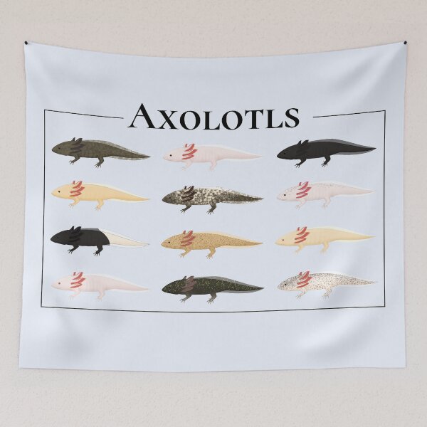 Item preview, All the axolotls -no labels designed and sold by Charloote.