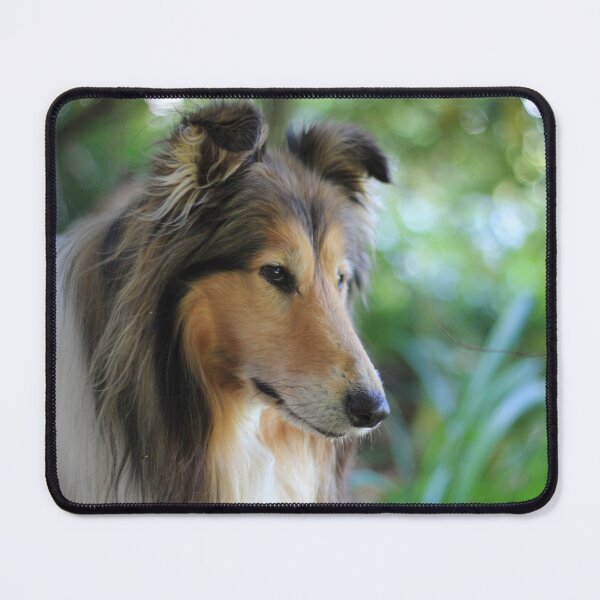 Item preview, Rough Collie In The Woods designed and sold by KarenWoodArt.