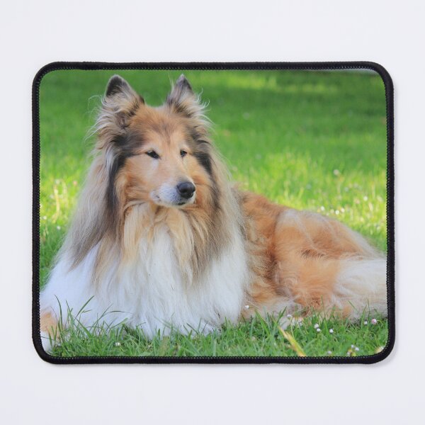 Item preview, Rough Collie On The Bright Green Grass designed and sold by KarenWoodArt.