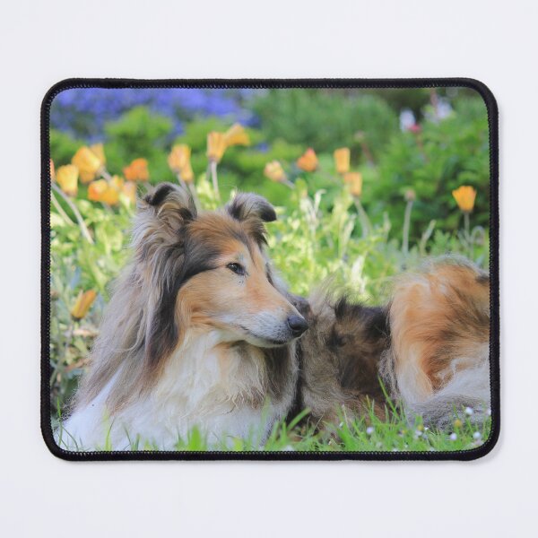 Item preview, Rough Collie With Yellow And Blue Flowers designed and sold by KarenWoodArt.