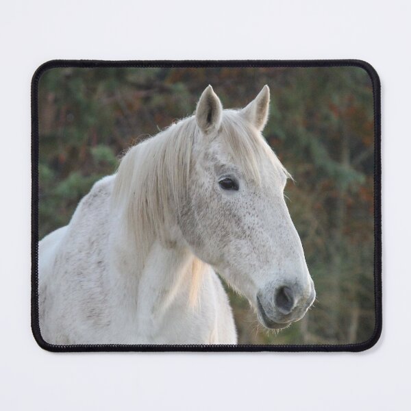 Item preview, Dapple Gray White Horse Profile designed and sold by KarenWoodArt.