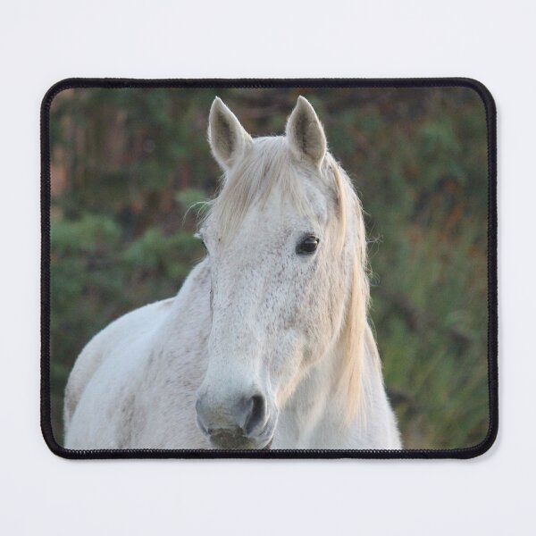 Item preview, Dapple Gray White Horse designed and sold by KarenWoodArt.