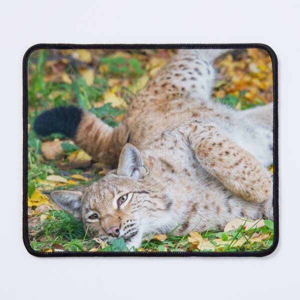 Item preview, Playful Lynx designed and sold by Dominika Aniola.