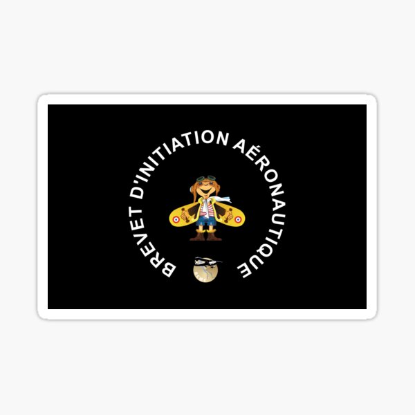 Item preview, BIA aeronautical initiation certificate designed and sold by gregpalmer.