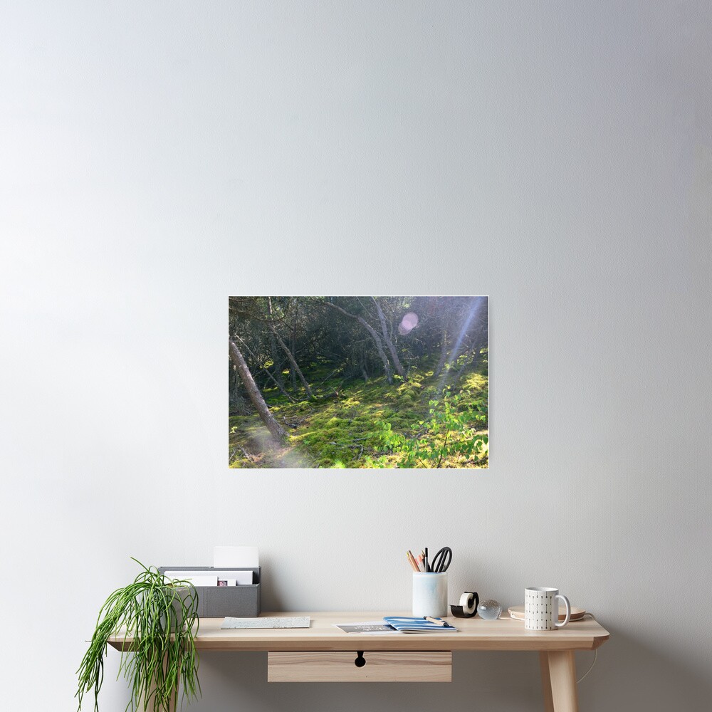 Item preview, Poster designed and sold by Mallorn.