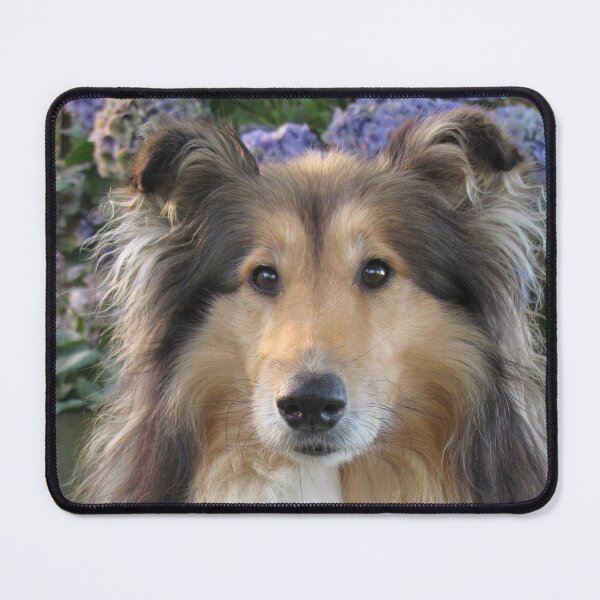 Item preview, Regal Rough Collie  designed and sold by KarenWoodArt.