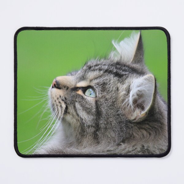 Item preview, Cat Green Background designed and sold by KarenWoodArt.