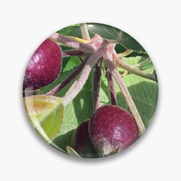 Item preview, Budding Fruit designed and sold by Ric1926.