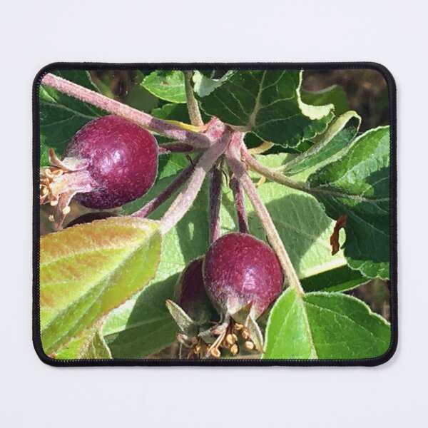 Item preview, Budding Fruit designed and sold by Ric1926.