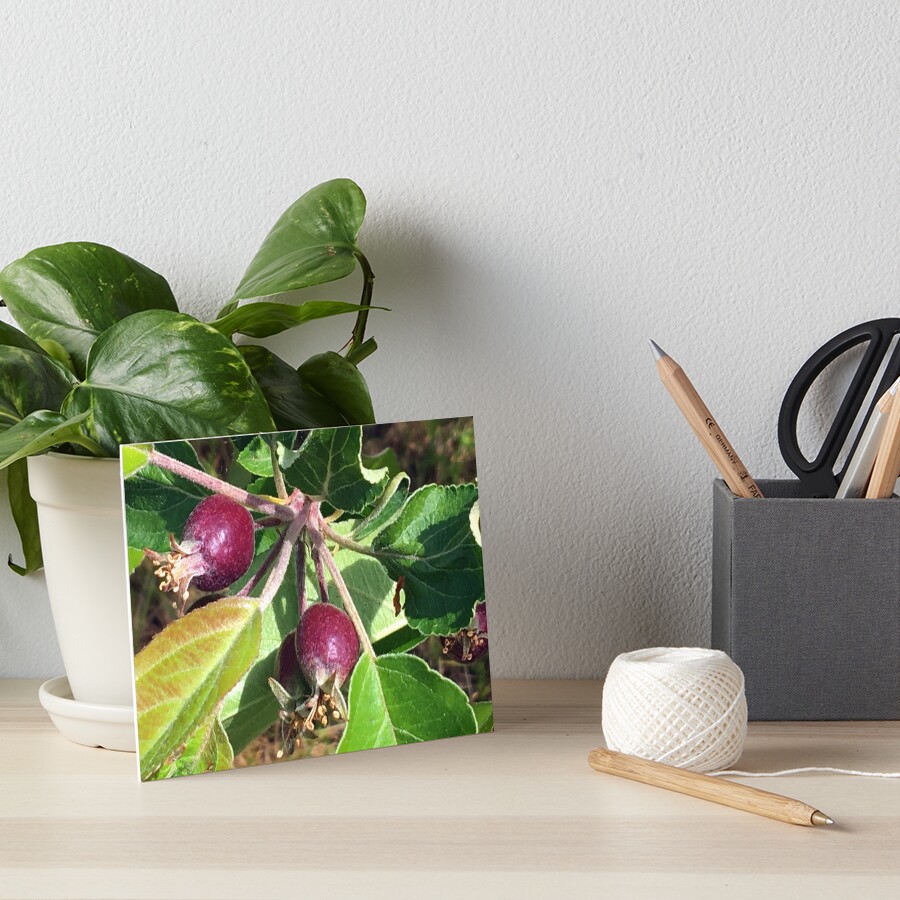 Item preview, Art Board Print designed and sold by Ric1926.