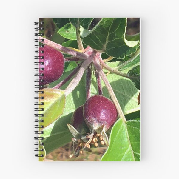 Item preview, Budding Fruit designed and sold by Ric1926.