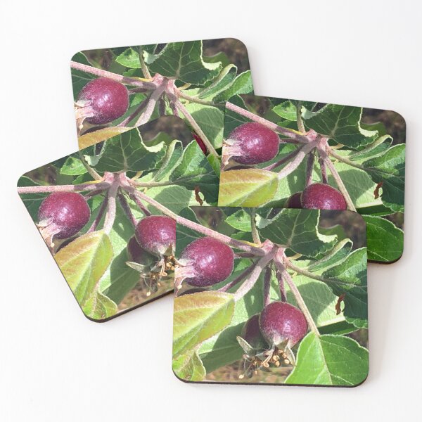 Item preview, Budding Fruit designed and sold by Ric1926.