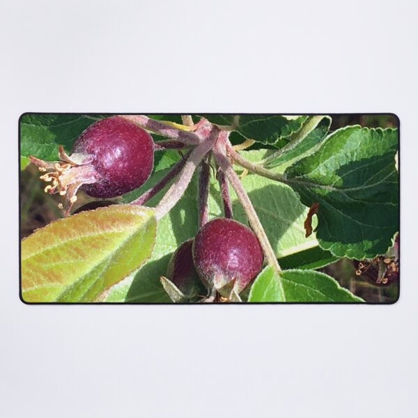 Item preview, Budding Fruit designed and sold by Ric1926.