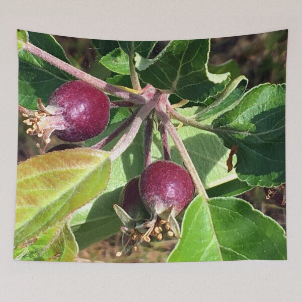 Item preview, Budding Fruit designed and sold by Ric1926.