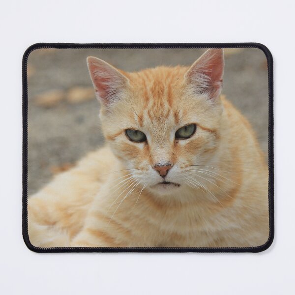 Item preview, Orange Tabby Cat designed and sold by KarenWoodArt.