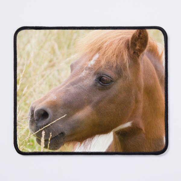 Item preview, Cute Pony designed and sold by KarenWoodArt.
