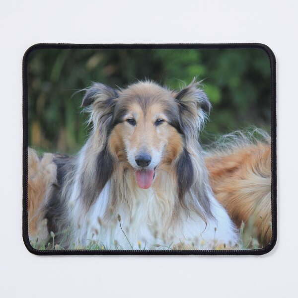 Item preview, Precious Collie designed and sold by KarenWoodArt.