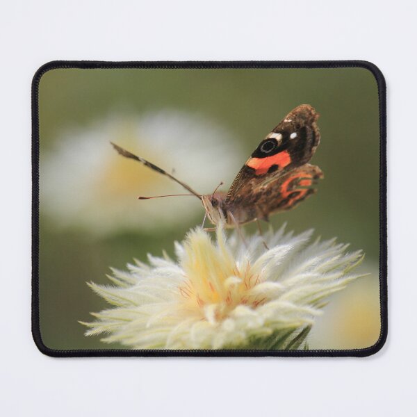 Item preview, Red Admiral Butterfly designed and sold by KarenWoodArt.