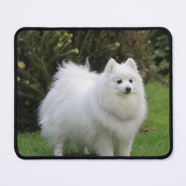 Item preview, Garden Spitz designed and sold by KarenWoodArt.