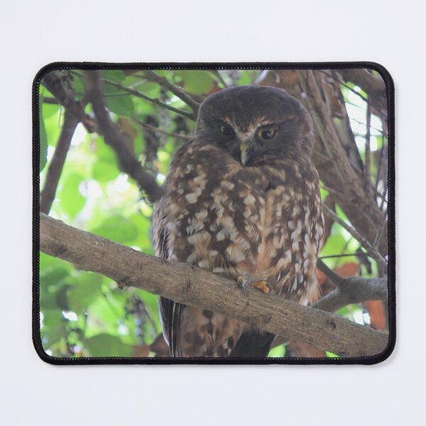 Item preview, Watchful Owl designed and sold by KarenWoodArt.