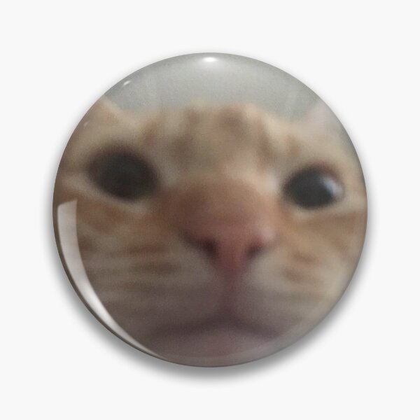 Item preview, Staring cat meme designed and sold by Ritsuu.