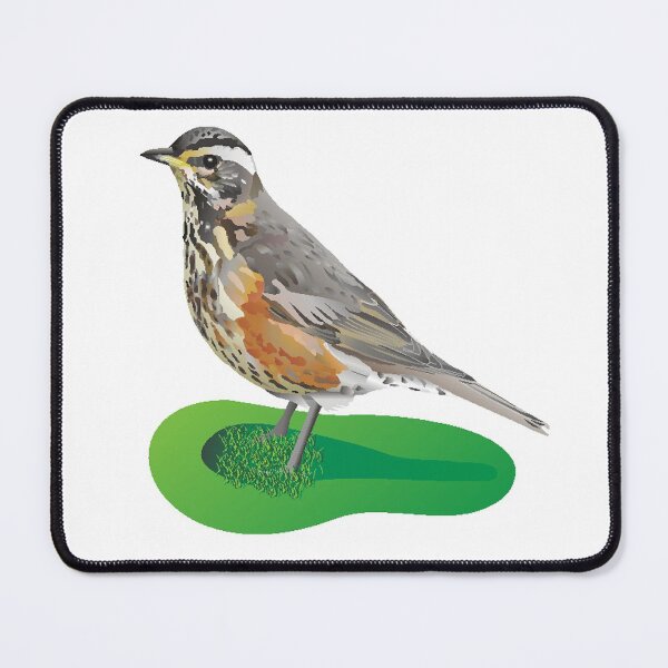 Item preview, Redwing Garden Bird / Woodland Bird Illustration designed and sold by BijouArt.
