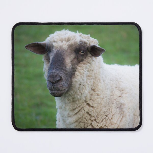 Item preview, Ewe Looking At You designed and sold by KarenWoodArt.