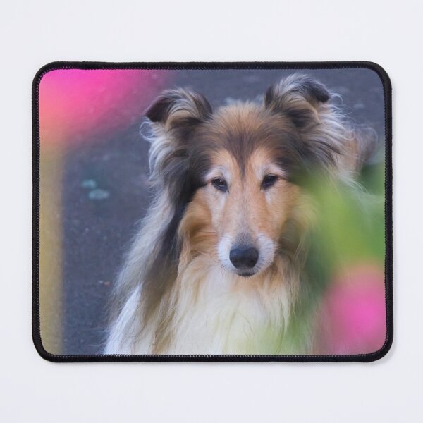 Item preview, Pretty With Pink Collie designed and sold by KarenWoodArt.