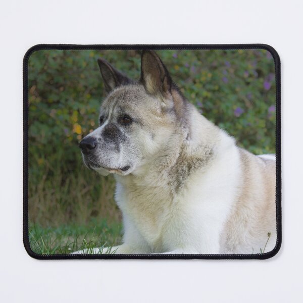 Item preview, American Akita designed and sold by KarenWoodArt.